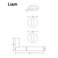 Liam WC Lever Handle Set in Silver