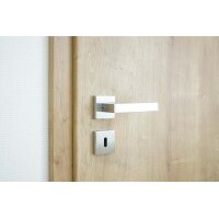 Hudson Stainless Steel Door Handle in Silver