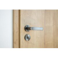 Stainless Steel Door Handle Dalia in Anthracite