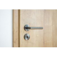 Stainless Steel Door Handle Salvador in Anthracite