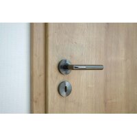 Stainless Steel Door Handle Liam in Anthracite