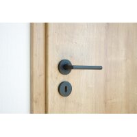 Stainless Steel Door Handle Avery in Black