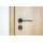 Stainless Steel Door Handle Avery in Black