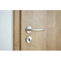 Marilyn Stainless Steel Door Handle in Silver