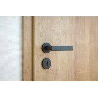 Stainless Steel Door Handle Dalia in Black