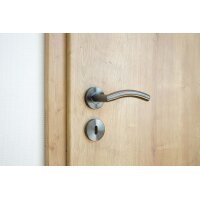 Stainless Steel Door Handle Riley in Anthracite