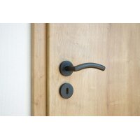 Stainless Steel Door Handle Riley in Black