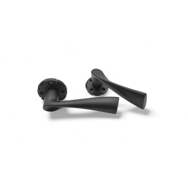 Stainless Steel Door Handle Kerry in Black