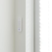 Schartec Window Motor Set with Receiver and Remote Control