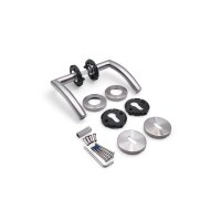 Riley Stainless Steel Door Handle in Silver