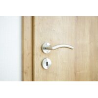 Riley Stainless Steel Door Handle in Silver