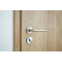 Liam Stainless Steel Door Handle in Silver