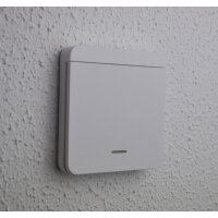 Wireless Indoor Push Button for Tormatic – Novoferm