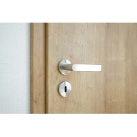 Dalia Stainless Steel Door Handle in Silver