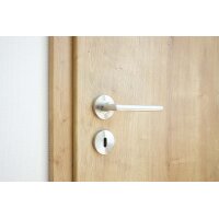 Avery Stainless Steel Door Handle in Silver