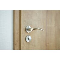 Kerry Stainless Steel Door Handle in Silver